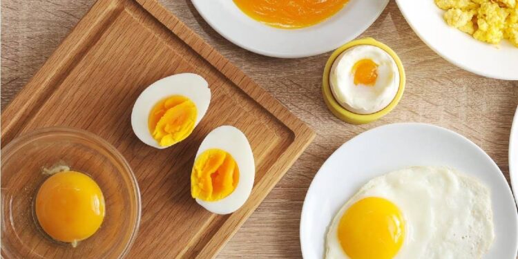 world-egg-day-|-ലോക-മുട്ടദിനം:-ദിവസവും-മുട്ട-കഴിക്കാമോ?