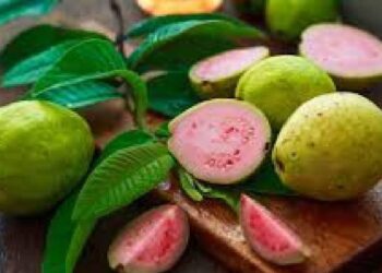 പേരയ്ക്കയും-പേരയിലയും-ദിവസവും-കഴിക്കുന്നത്-കൊണ്ടുള്ള-7-ഗുണങ്ങള്‍