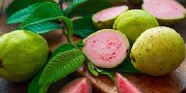 പേരയ്ക്കയും-പേരയിലയും-ദിവസവും-കഴിക്കുന്നത്-കൊണ്ടുള്ള-7-ഗുണങ്ങള്‍