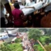 വിട-ചൊല്ലാൻ-ആയിരങ്ങൾ-ഒഴുകിയെത്തി,-4-പെൺകുട്ടികൾക്കും-തുമ്പനാട്-ജുമാ-മസ്ജിദിൽ-അന്ത്യനിദ്ര