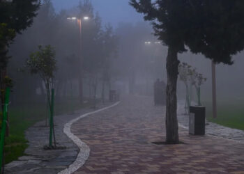 മ​നം-മ​യ​ക്കി-അ​ൽ-ബാ​ഹ