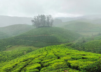 കൊ​ടും​ത​ണു​പ്പി​ന്‍റെ-കു​ളി​ര​ണി​ഞ്ഞു-മൂന്നാർ;-താപനില-മൈനസായേക്കും