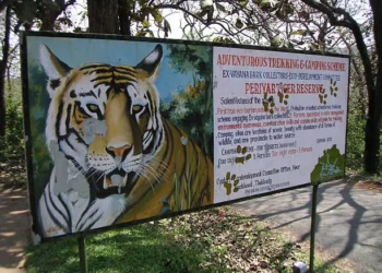 പെരിയാര്‍-കടുവ-സങ്കേതം:-ശുപാര്‍ശ-കൈമാറാന്‍-സംസ്ഥാനം-ഒരുവര്‍ഷം-വൈകിച്ചു,-കേന്ദ്രസംഘം-വൈകാതെ-എത്തും