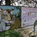 പെരിയാര്-കടുവ-സങ്കേതം:-ശുപാര്ശ-കൈമാറാന്-സംസ്ഥാനം-ഒരുവര്ഷം-വൈകിച്ചു,-കേന്ദ്രസംഘം-വൈകാതെ-എത്തും