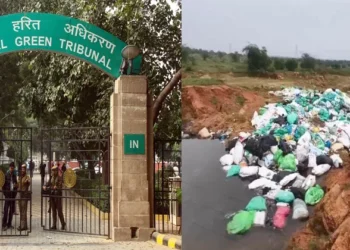 തമിഴ്നാട്-അതിര്ത്തിയില്-ബയോമെഡിക്കല്-മാലിന്യം-തള്ളല്;-മാലിന്യം-നീക്കുന്നതിന്റെ-ചെലവ്-കേരളം-വഹിക്കണമെന്ന്-എന്ജിടി