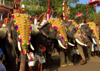 ക്ഷേത്രോത്സവങ്ങള്-കലങ്ങില്ല:-ഹൈക്കോടതി-ഉത്തരവിന്-സ്റ്റേ;-സുപ്രീംകോടതിയുടെ-വിമര്ശനങ്ങള്