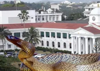 സെക്രട്ടേറിയേറ്റിൽ-പാമ്പ്-കയറി;-പിടികൂടാൻ-കഴിഞ്ഞില്ല