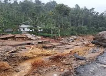 വയനാട്-പുനരധിവാസ-പദ്ധതിയുടെ-മേല്നോട്ടത്തിന്-പ്രത്യേക-സമിതി