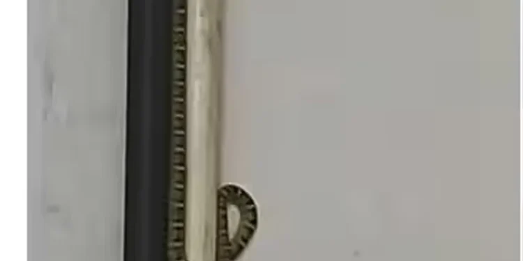 സെക്രട്ടേറിയറ്റില്‍-വീണ്ടും-പാമ്പിനെ-കണ്ടെത്തി,-കണ്ടത്-2-പാമ്പുകളെ