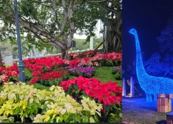 പുതുവര്‍ഷം-ആഘോഷമാക്കാന്‍-കനകക്കുന്നില്‍- ‘വസന്തോത്സവ’ത്തിന്-ഇന്ന് തുടക്കം