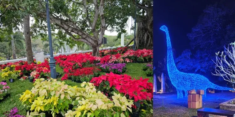 പുതുവര്‍ഷം-ആഘോഷമാക്കാന്‍-കനകക്കുന്നില്‍- ‘വസന്തോത്സവ’ത്തിന്-ഇന്ന് തുടക്കം