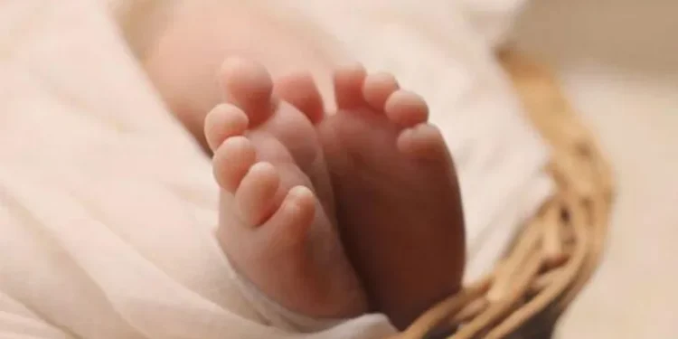 ക്രിസ്തുമസ്-ദിനത്തില്‍-അമ്മത്തൊട്ടിലില്‍-പെണ്‍കുഞ്ഞിനെ-ലഭിച്ചു,-പേര്-ക്ഷണിച്ച്-മന്ത്രി