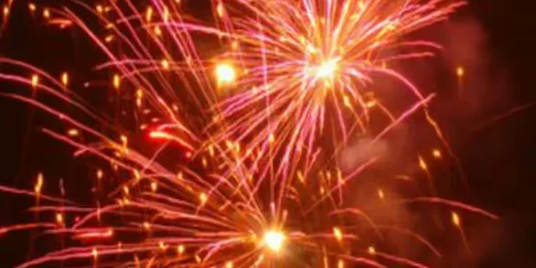 പാറമേക്കാവ്,-തിരുവമ്പാടി-ദേവസ്വം-വേലകളുടെ-വെടിക്കെട്ടിന്-അനുമതി-നിഷേധിച്ചു