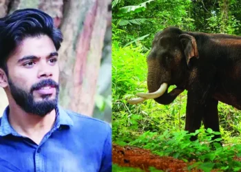 കാട്ടാന-ആക്രമണം:-അധികൃതര്‍-നല്കിയ-ഉറപ്പെല്ലാം-പാഴായി,-പൊലിഞ്ഞത്-കുടുംബത്തിന്റെ-ഏക-ആശ്രയം