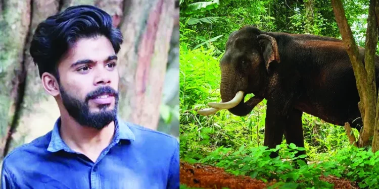 കാട്ടാന-ആക്രമണം:-അധികൃതര്‍-നല്കിയ-ഉറപ്പെല്ലാം-പാഴായി,-പൊലിഞ്ഞത്-കുടുംബത്തിന്റെ-ഏക-ആശ്രയം