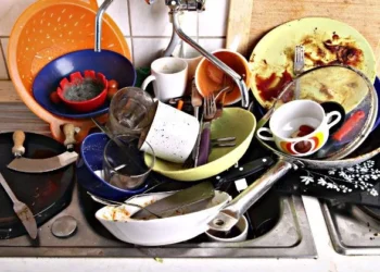 അടുക്കള-മാലിന്യം-സംസ്‌കരിക്കുന്നുണ്ടോ-?-ഉറപ്പാക്കാന്‍-എല്ലാ-വീടുകളിലും-പരിശോധനയ്‌ക്കു-വരും