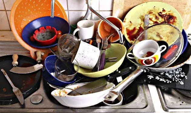 അടുക്കള-മാലിന്യം-സംസ്‌കരിക്കുന്നുണ്ടോ-?-ഉറപ്പാക്കാന്‍-എല്ലാ-വീടുകളിലും-പരിശോധനയ്‌ക്കു-വരും