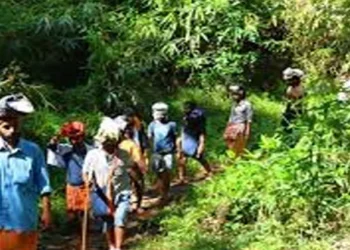 കാനനപാത-വഴി-വരുന്ന-അയ്യപ്പഭക്തര്‍ക്ക്-പാസ്-നല്‍കുന്നത്-നിര്‍ത്തി