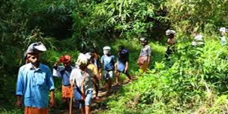 കാനനപാത-വഴി-വരുന്ന-അയ്യപ്പഭക്തര്ക്ക്-പാസ്-നല്കുന്നത്-നിര്ത്തി