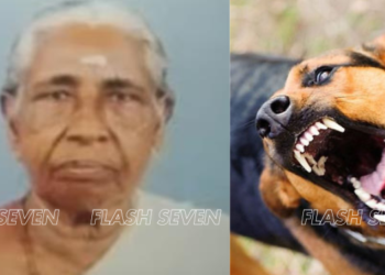 ആലപ്പുഴയില് വയോധികയെ നായ കടിച്ചു കൊന്നു