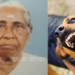 ആലപ്പുഴയില് വയോധികയെ നായ കടിച്ചു കൊന്നു