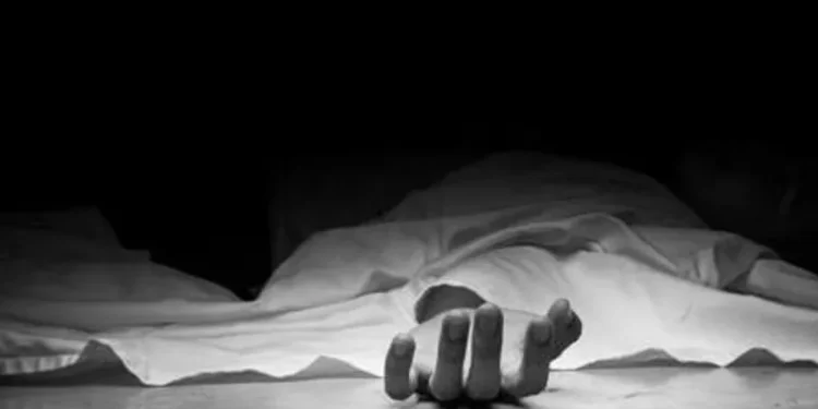 ശബരിമല-തീര്ഥാടകര്-സഞ്ചരിച്ച-മിനി-ബസ്-മറിഞ്ഞു,-അപകടത്തില്-വഴിയരികില്-നിന്ന-തീര്ത്ഥാടകന്-മരിച്ചു