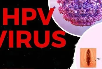 എച്ച്എംപി.-വൈറസ്-അനാവശ്യ-ആശങ്ക-പരത്തരുതെന്ന്-മന്ത്രി-,-ഉന്നതതല-യോഗം-സ്ഥിതി-വിലയിരുത്തി