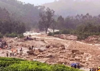 വയനാട്-പുനരധിവാസം:-വീടിന്-30-ലക്ഷം-കൂടിയ-നിരക്കെന്ന്-നഗരാസൂത്രണ-വിദഗ്ധരുടെ-ദേശീയ-സംഘടന