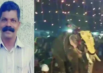 പുതിയങ്ങാടി-വലിയനേര്ച്ചയ്ക്കിടെ-ആന-തുമ്പിക്കൈയിൽ-ചുഴറ്റിയെറിഞ്ഞയാൾ-മരിച്ചു;-ഗുരുതര-പരിക്കുകളോടെ-ചികിത്സയിലിരുന്നു-കൃഷ്ണൻകുട്ടി