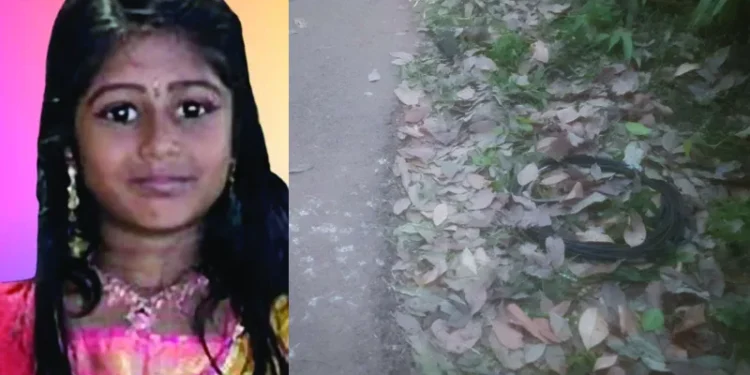 സ്‌കൂൾ-ബസ്-കയറി-ഇറങ്ങി-മരിച്ച-വിദ്യാർത്ഥിനിയുടെ-സംസ്കാരം-ഇന്ന്;-നാടിന്റെ-നോവായി-കൃഷ്ണേന്ദു