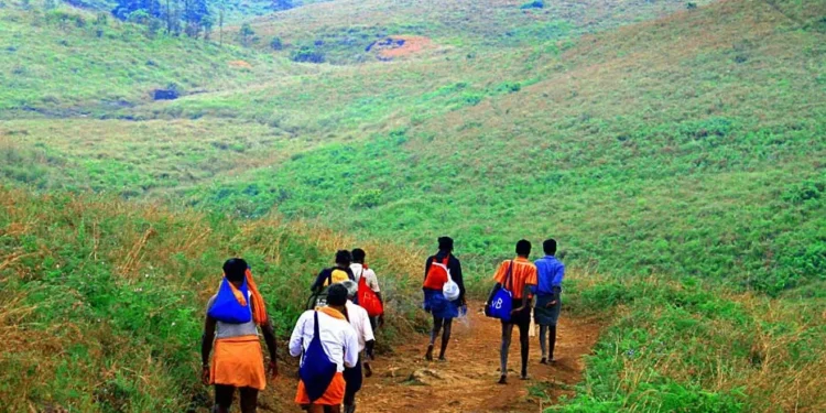 സുരക്ഷയെ-മുന്‍നിര്‍ത്തി-കരുതല്‍-നടപടി:-പുല്ലുമേട്-നിന്ന്-തീര്‍ത്ഥാടകരെ-സന്നിധാനത്തേക്ക്-കടത്തിവിടില്ല