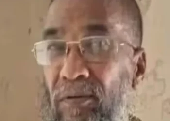 സ്വന്തം-പറമ്പില്‍-കഞ്ചാവ്-ചെടികള്‍-നട്ടു-വളര്‍ത്തിയ-സൈദലവിക്ക്-12-വര്‍ഷം-തടവും-പിഴയും-ശിക്ഷ