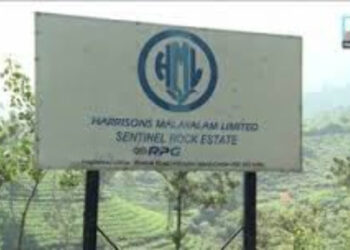 വയനാട്-;-പുനരധിവസിപ്പിക്കാന്‍-ഭൂമിയേറ്റെടുക്കാനുളള-അനുമതിക്കെതിരെ-അപ്പീലുമായി-ഹാരിസണ്‍സ്-മലയാളം