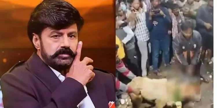 ആടിന്റെ-തലയറുത്ത്-രക്താഭിഷേകം;-മൃഗബലി-സൂപ്പർ-സ്റ്റാറിന്റെ-സിനിമ-വിജയിക്കാന്.