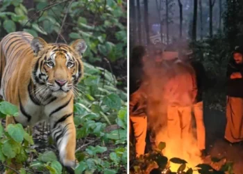 വന്യജീവി-ആക്രമണങ്ങളില്‍-കേന്ദ്രത്തെ-പഴിക്കുന്നത്-വെറുതെ,-ഉചിതമായ-നടപടിക്ക്-സംസ്ഥാനത്തിന്-അധികാരം