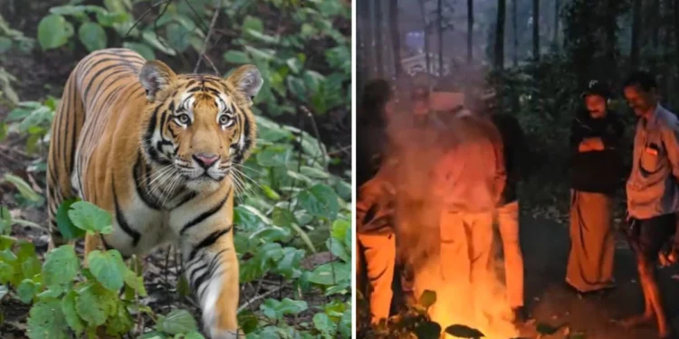 വന്യജീവി-ആക്രമണങ്ങളില്-കേന്ദ്രത്തെ-പഴിക്കുന്നത്-വെറുതെ,-ഉചിതമായ-നടപടിക്ക്-സംസ്ഥാനത്തിന്-അധികാരം