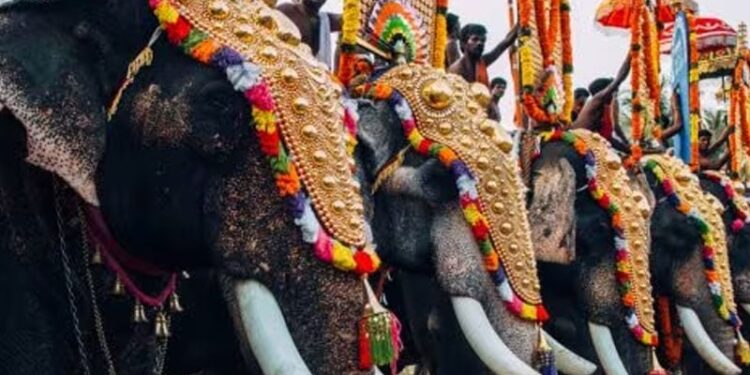 വനം-വകുപ്പിന്-കീഴില്‍-നാട്ടാനകള്‍ക്ക്-പൂര്‍ണ-രേഖകളാകുന്നു;-രണ്ട്-മൈക്രോചിപ്പുണ്ടെങ്കില്‍-ആനകളെ-കസ്റ്റഡിയിലെടുക്കും