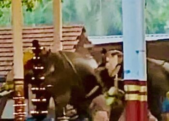 കോഴിക്കോട് കൊയിലാണ്ടിയില്‍ ക്ഷേത്രോത്സവത്തിനിടെ ആനകള്‍ ഇടഞ്ഞു; മൂന്ന് മരണം, 4 പേരുടെ നില ഗുരുതരം