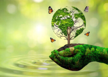 ​world-environment-day-speech-in-malayalam:-‘ചെറുതുകള്‍-ചേര്‍ന്നൊരു-വലിയ-ശരി’-;-ഇതാ-വിദ്യാര്‍ഥികള്‍ക്കായി-ലോക-പരിസ്ഥിതി-ദിന-പ്രസംഗം​