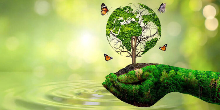 world-environment-day-speech-in-malayalam:-‘ചെറുതുകള്-ചേര്ന്നൊരു-വലിയ-ശരി’-;-ഇതാ-വിദ്യാര്ഥികള്ക്കായി-ലോക-പരിസ്ഥിതി-ദിന-പ്രസംഗം