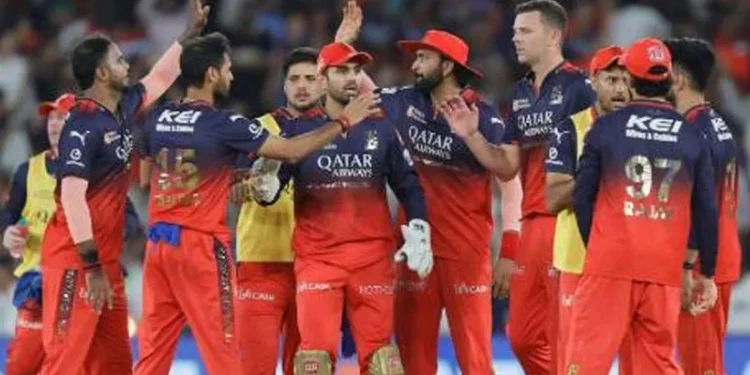 ആവേശ-ഫൈനലില്‍-ഐപിഎല്‍-കിരീടത്തില്‍-മുത്തമിട്ട്-ആര്‍-സി-ബി,-പഞ്ചാബ്-കിംഗ്‌സിനെ-തോല്‍പ്പിച്ചത്-6-റണ്‍സിന്