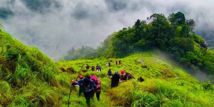 കക്കാടംപൊയിലിൽ-മഞ്ഞ്-പെയ്യുന്നത്-കാണണ്ടേ?-കെഎസ്ആർടി.സിയിൽ-ഒരു-ട്രിപ്പ്-പോയാലോ
