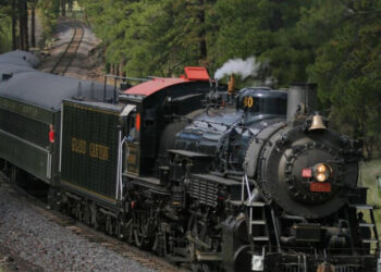 വെജിറ്റബിൾ-ഓയിലിൽ-ഓടുന്ന-ഫ്രഞ്ച്-ഫ്രൈസ്-ട്രെയിൻ