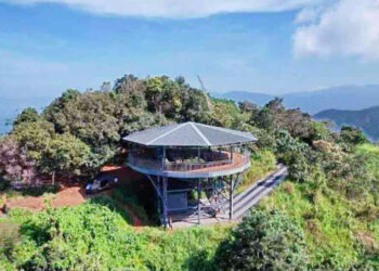 കാ​ട്ടു​പോ​ത്ത്-ഭീ​ഷ​ണി;-ന​മ്പി​കു​ളം-കാ​റ്റു​ള്ള​മ​ല-ടൂ​റി​സം-കേ​ന്ദ്ര​ത്തി​ൽ-സ​ഞ്ചാ​രി​ക​ൾ​ക്ക്-വി​ല​ക്ക്