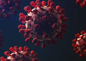 മണിപ്പൂരിൽ-ആദ്യ-കോവിഡ്-കേസ്-റിപ്പോർട്ട്-ചെയ്തു