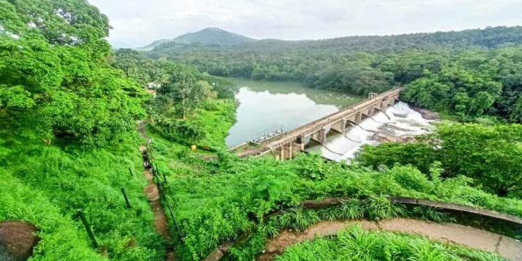 ഇഴജന്തുക്കളെ-പേടിച്ച്-വിനോദസഞ്ചാരികൾ;-ഒറ്റക്കൽ-ലുക്ക്-ഔട്ട്-പരിസരം-കാടുമൂടി