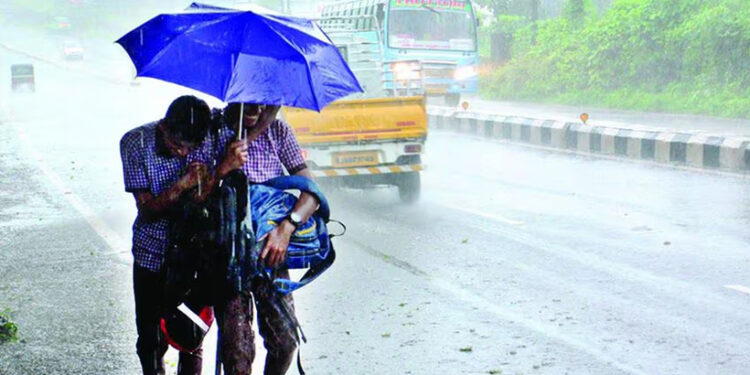 കനത്ത-മഴ;-അഞ്ച്-ജില്ലകളിലെ-വിദ്യാഭ്യാസ-സ്ഥാപനങ്ങള്ക്ക്-നാളെ-അവധി-പ്രഖ്യാപിച്ച്-കളക്ടര്മാര്