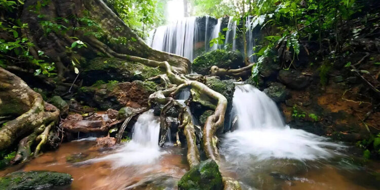 ​ബാംഗ്ലൂരില്‍-നിന്ന്-മണ്‍സൂണ്‍കാല-യാത്രയ്ക്ക്-6-ഇടങ്ങള്‍-;-മതിവരാ-കാഴ്ചയും-കുളിര്‍മഴയും​