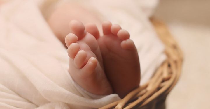 പത്തനംതിട്ടയിൽ-നവജാത-ശിശു-മരിച്ച-നിലയിൽ,-മൃതദേഹം-പറമ്പിൽ;-21കാരി-രക്തസ്രാവത്തെ-തുടർന്ന്-ആശുപത്രിയിൽ