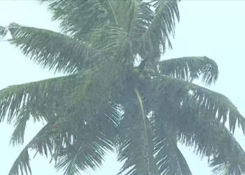 കേരളത്തിൽ-മഴ-മുന്നറിയിപ്പിൽ-മാറ്റം,-അതിശക്തമായ-മഴയ്ക്ക്-സാധ്യത;-ഈ-4-ജില്ലകളിൽ-ഓറഞ്ച്-അലർട്ട്